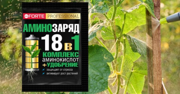 Погодные качели: как помочь растениям справиться с сыростью и засухой